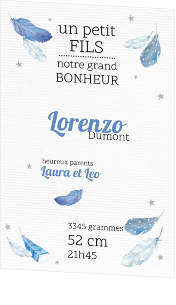 Faire-part de naissance - Petites plumes bleues 317009BF