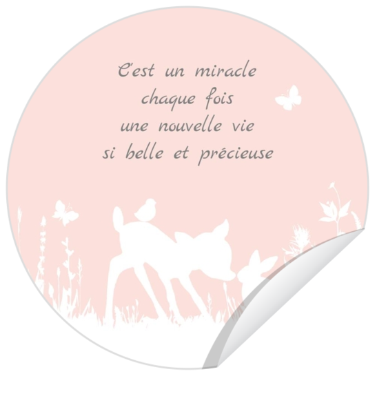 Autocollant - Animaux mignons 31703315BF