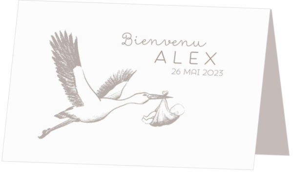 Carte de naissance Alex - Illustration d'une cigogne