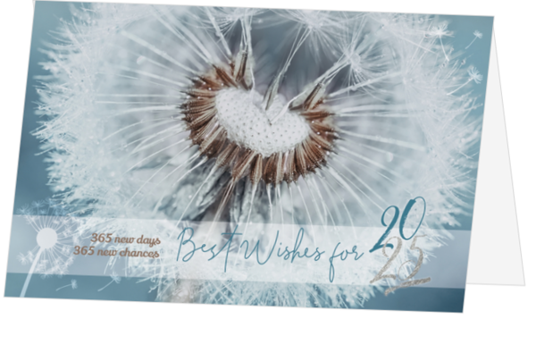 Kerstkaart - Make a wish 2025