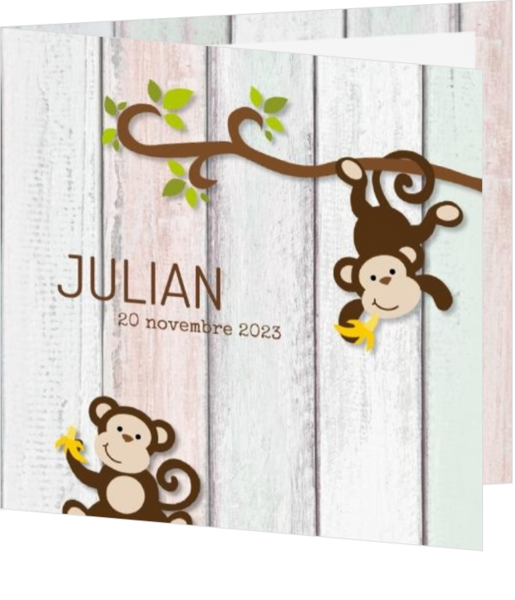 Carte de naissance Julian - Singes drôles