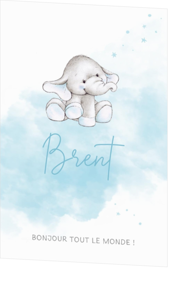 Faire-part de naissance Brent - Petit éléphant