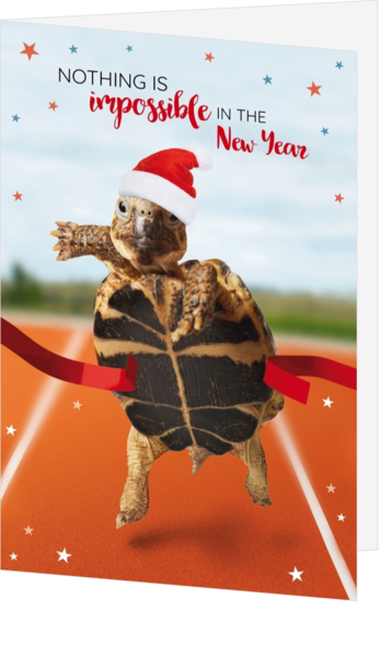 Kerstkaart - Schildpad over de finish