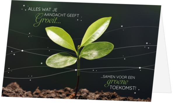 Kerstkaart - Jong groeiend plantje