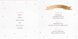 Menu de mariage   We flamin go together Intérieur