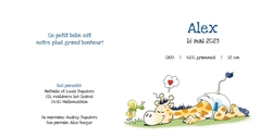 Carte de naissance Alex   Bébé girafe Intérieur