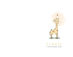 Faire part de naissance Floris   Girafe Verso/Recto