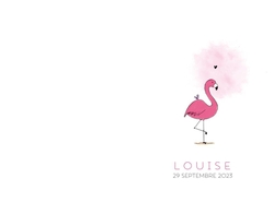 Faire part de naissance Louise   Flamant rose Verso/Recto