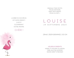 Faire part de naissance Louise   Flamant rose Intérieur