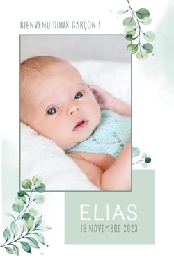 Faire part naissance Elias   Feuilles avec photo Recto