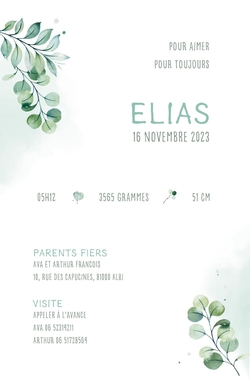 Faire part naissance Elias   Feuilles avec photo Verso