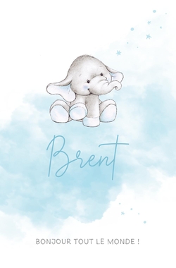 Faire part de naissance Brent   Petit éléphant Recto