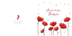 Faire part de naissance Anna Rose   Coquelicots Verso/Recto