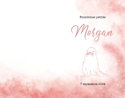 Faire part de naissance Morgan   Phoque Verso/Recto