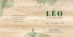 Faire part de naissance Léo   Branches sur bois Intérieur