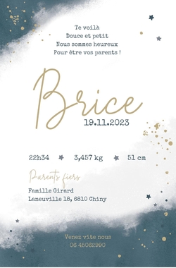 Carte de naissance Brice   Bleu gris avec crépitement Verso