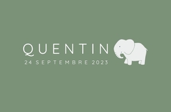 Carte de naissance Quentin   éléphant sur vert Recto