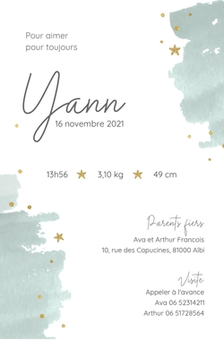 Carte de naissance Yann   Dino   Petit prince Verso