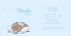 Faire part de naissance   Doux ours 117013F Intérieur