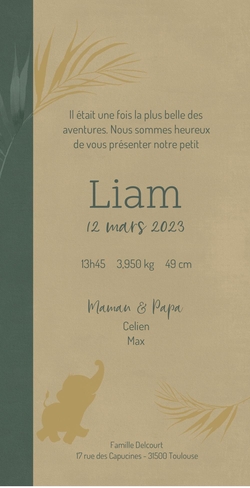 Faire part de naissance Gaston   Éléphant dans la jungle Verso