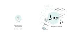 Faire part de naissance   Lapin menthe  Verso/Recto