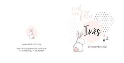 Faire part de naissance   Lapin rose Verso/Recto