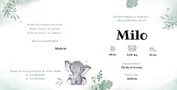 Faire part de naissance Milo   Éléphant dans la jungle Intérieur