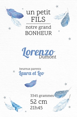 Faire part de naissance   Petites plumes bleues 317009BF Recto