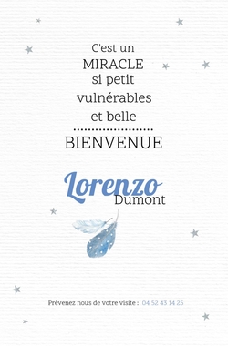 Faire part de naissance   Petites plumes bleues 317009BF Verso