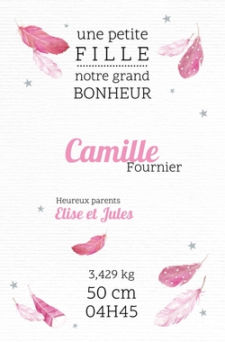 Faire part de naissance   Petites plumes roses 317047F Recto