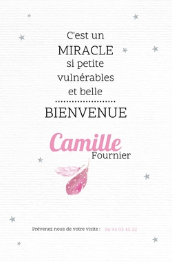 Faire part de naissance   Petites plumes roses 317047F Verso