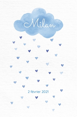 Faire part de naissance   Pluie de coeurs 317048F Recto