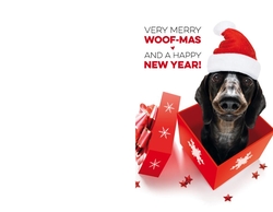 Kerstkaart   Hond in giftbox Achterkant/Voorkant